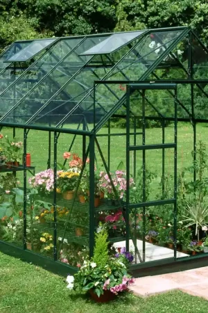 Laatste Kans Royal Well Tuinkas Magnum 128 Veiligheidsglas Groen